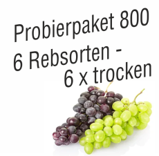 Weinprobierpaket 800 - 6 Rebsorten - 6 x trocken