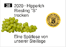 2020 Guldentaler Hipperich · Riesling S · trocken