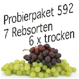 Weinprobierpaket 590 - 7 Rebsorten - 6 x trocken
